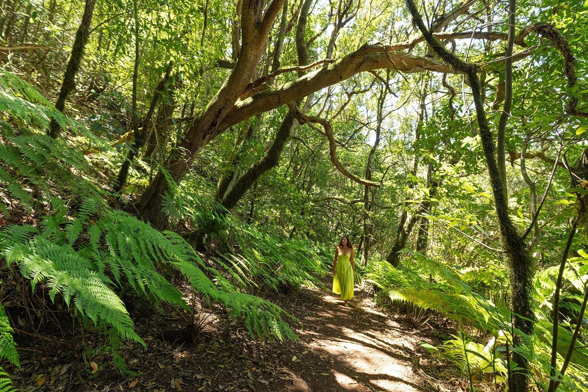 a woman in a yellow dress walks through a lush green forest