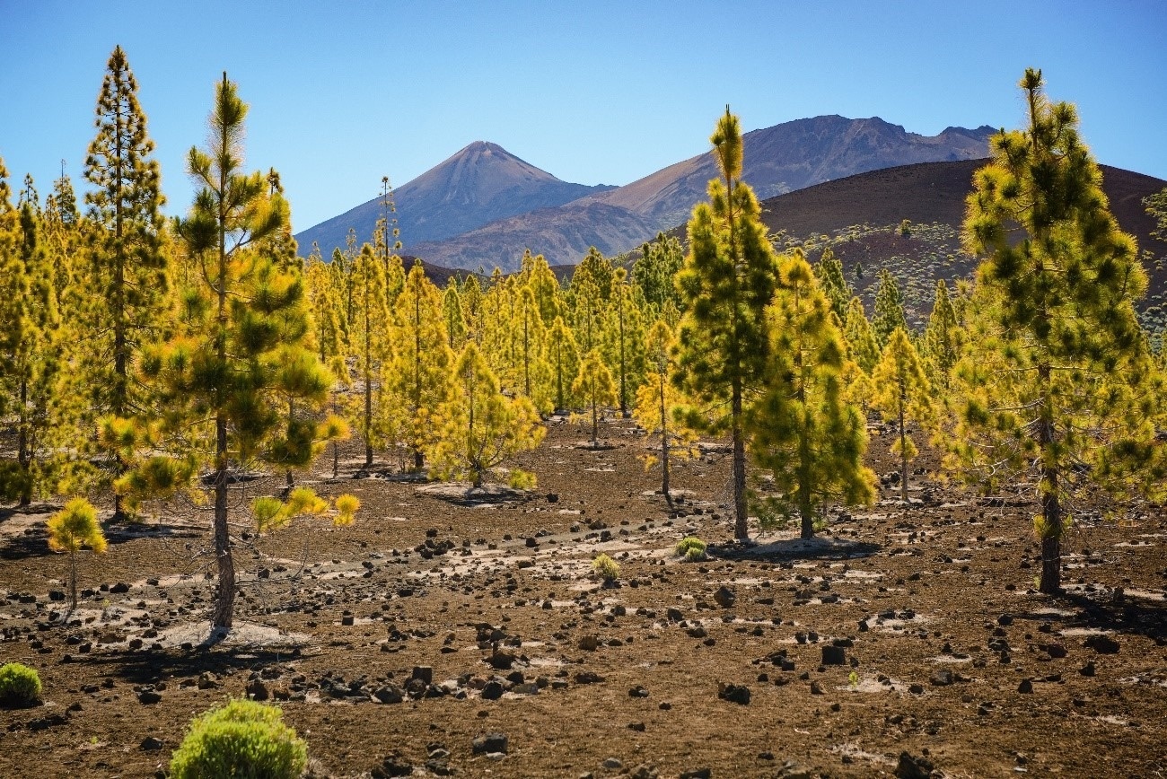 Tenerife and its privileged climate: three seasons in a single day