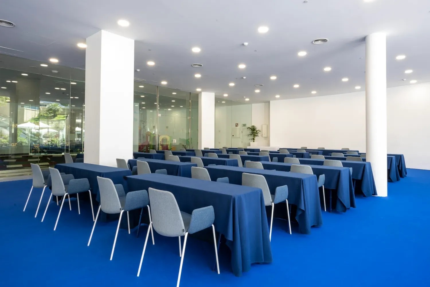 rows of tables and chairs in a room with blue carpet