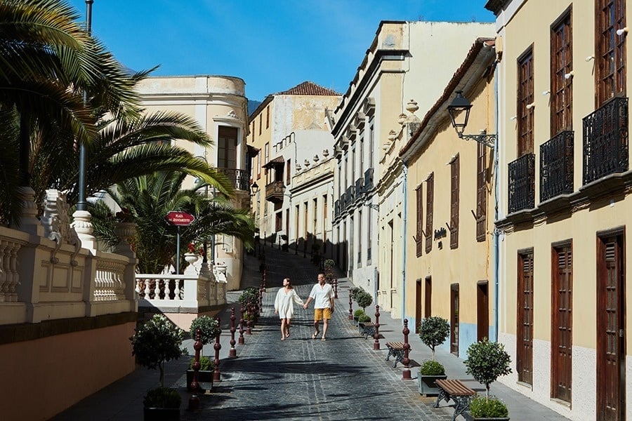 una vista aérea de una playa y el océano