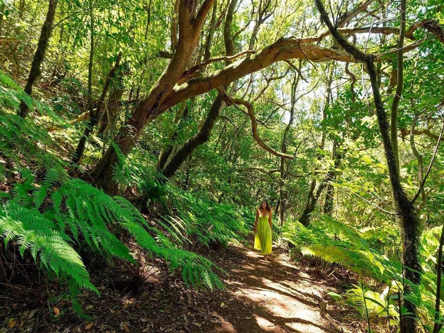a man stands on a rocky beach near the ocean