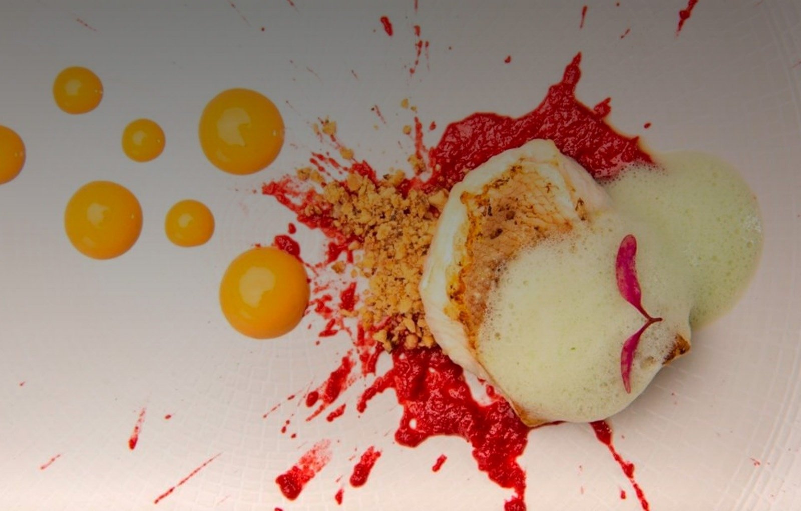 New and fresh seasonal menu at the Donaire restaurant to enjoy a gastronomic summer