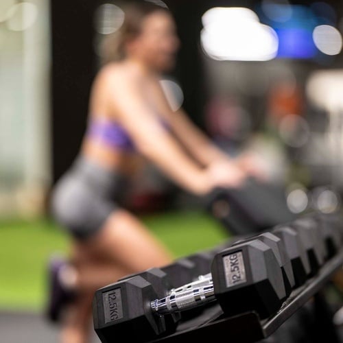 un par de mancuernas de 12.5kg están en un rack en un gimnasio