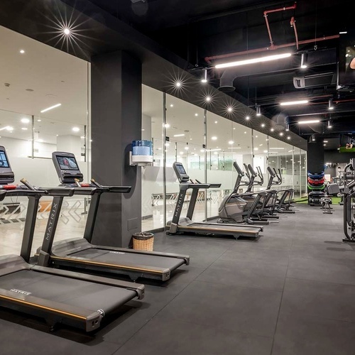 una fila de cintas de correr marca matrix en un gimnasio