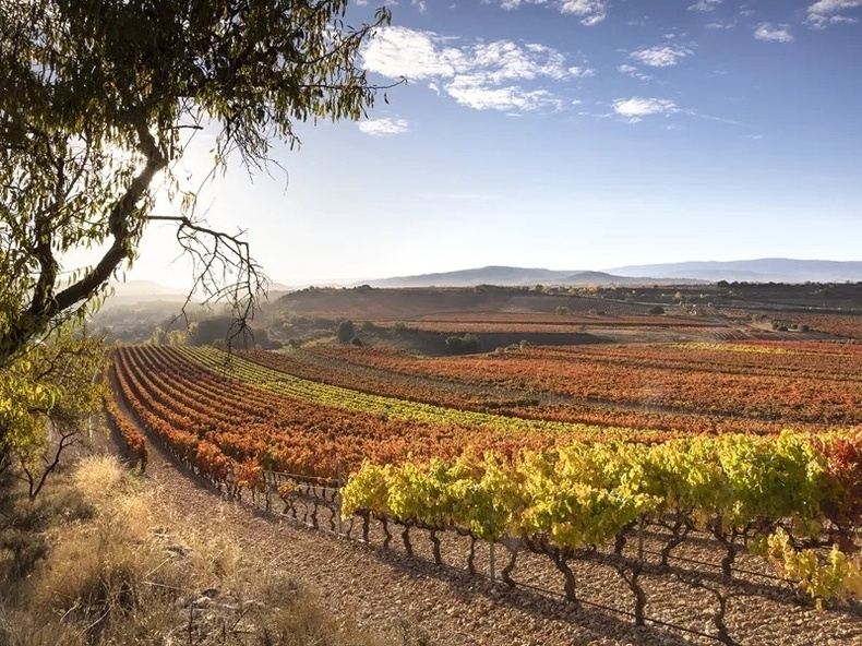 Royal River Luxury Hotel