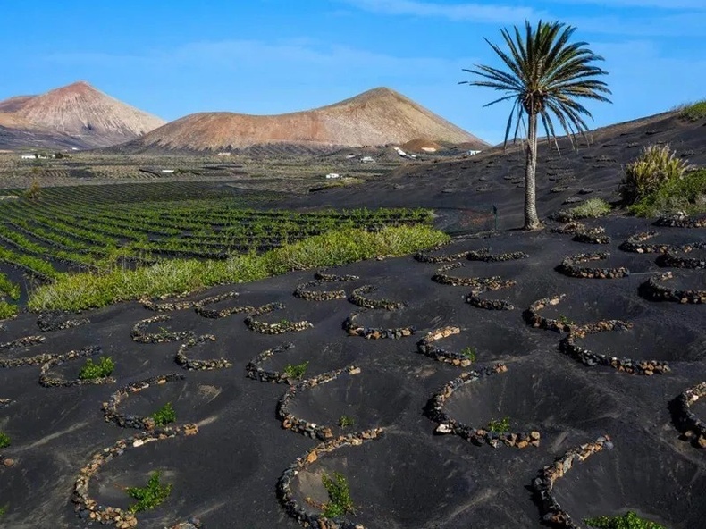 Royal River Luxury Hotel