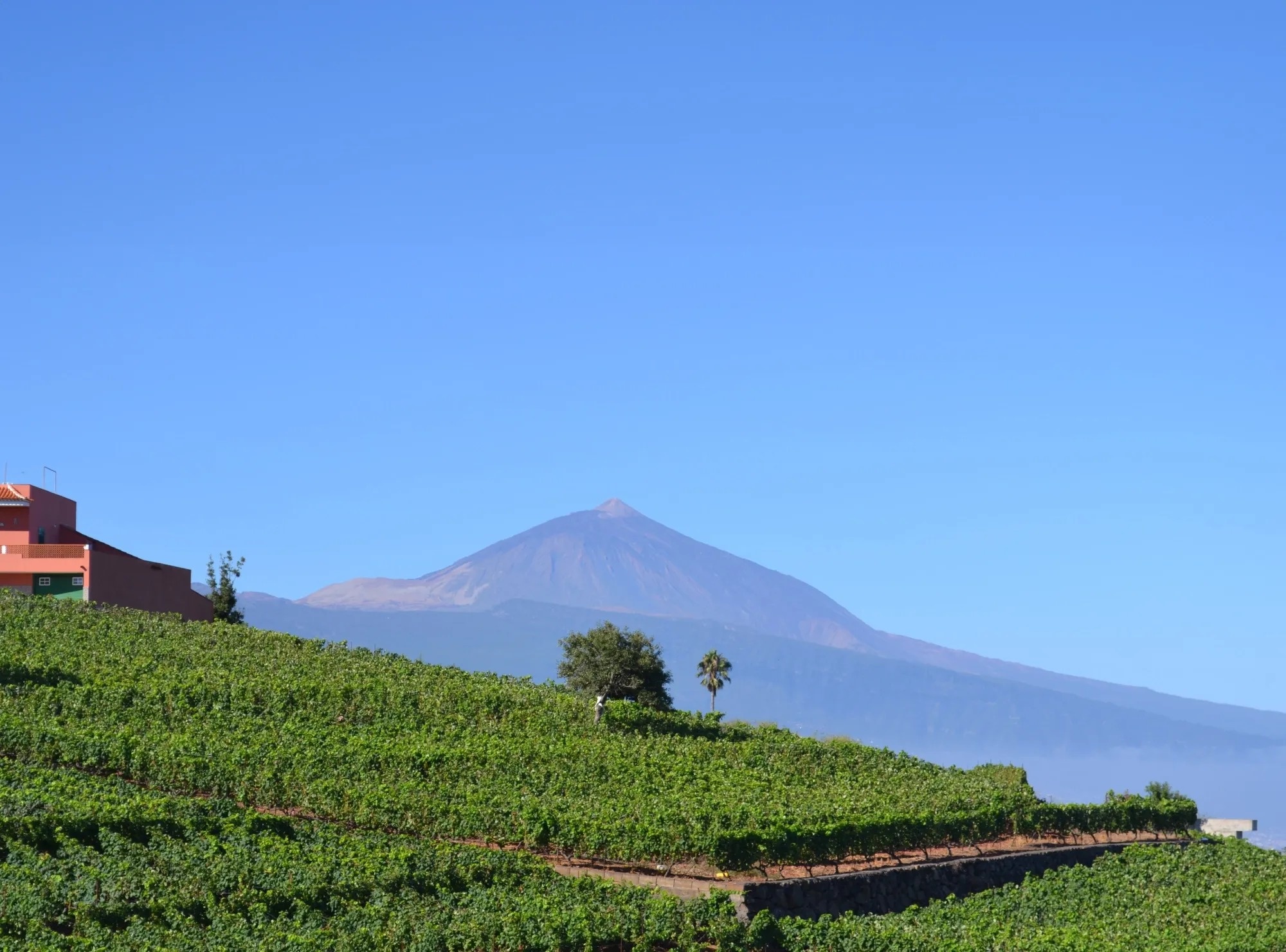 Royal River Luxury Hotel - Amantes del vino