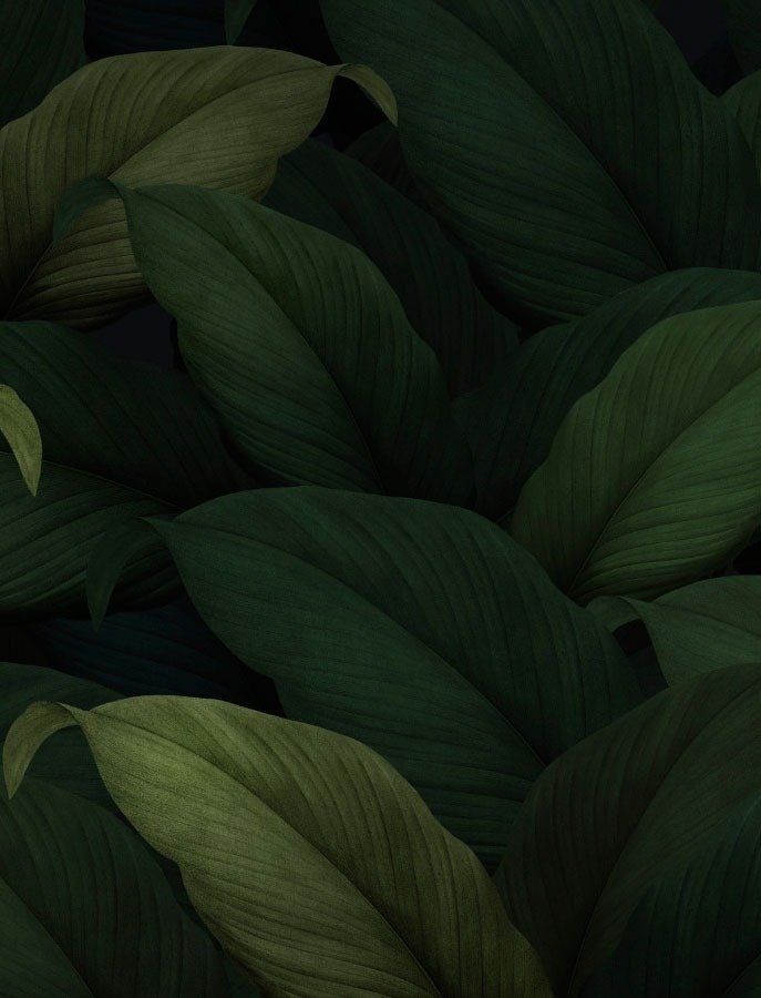 Royal River Luxury Hotel - Teneriffa=s1900