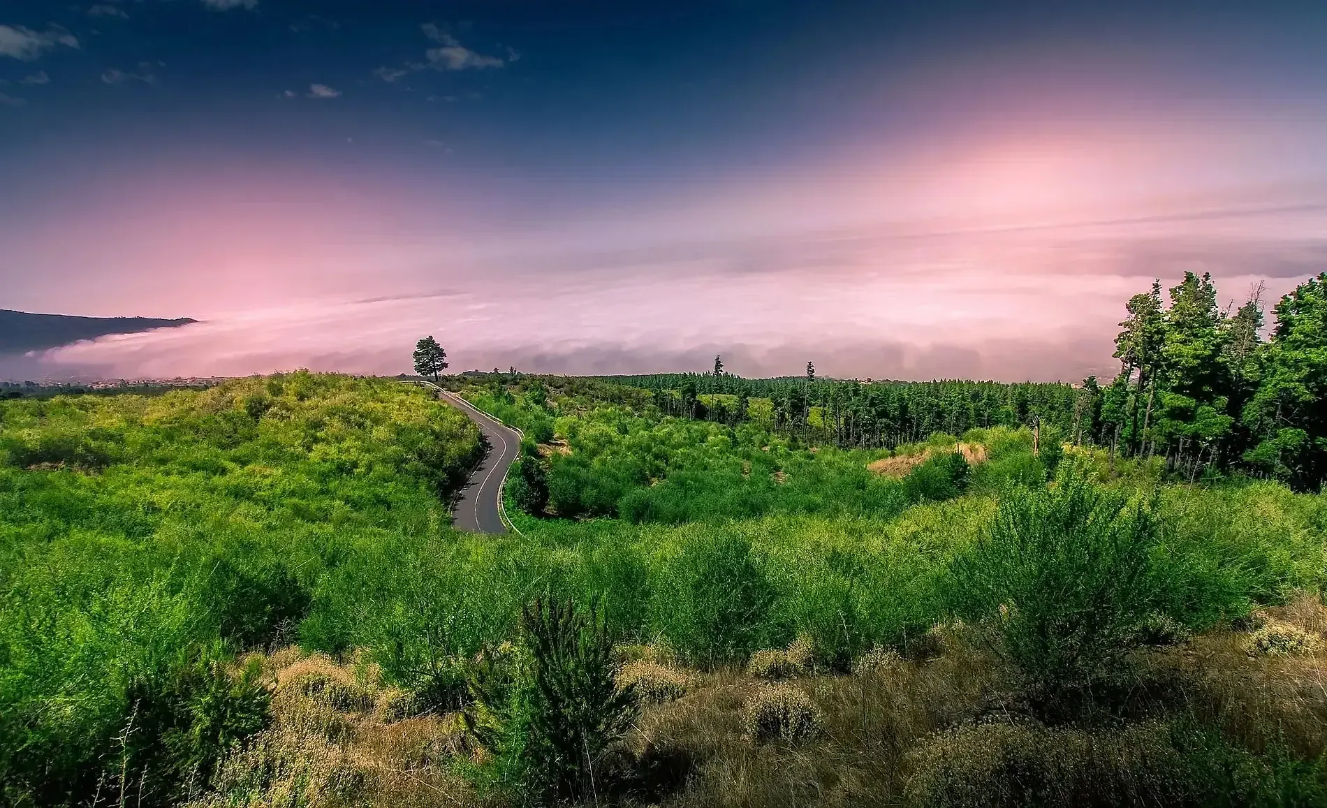 Scenic mountain road & lush greenery: Experiences | Royal River Luxury Hotel ***** | Tenerife south