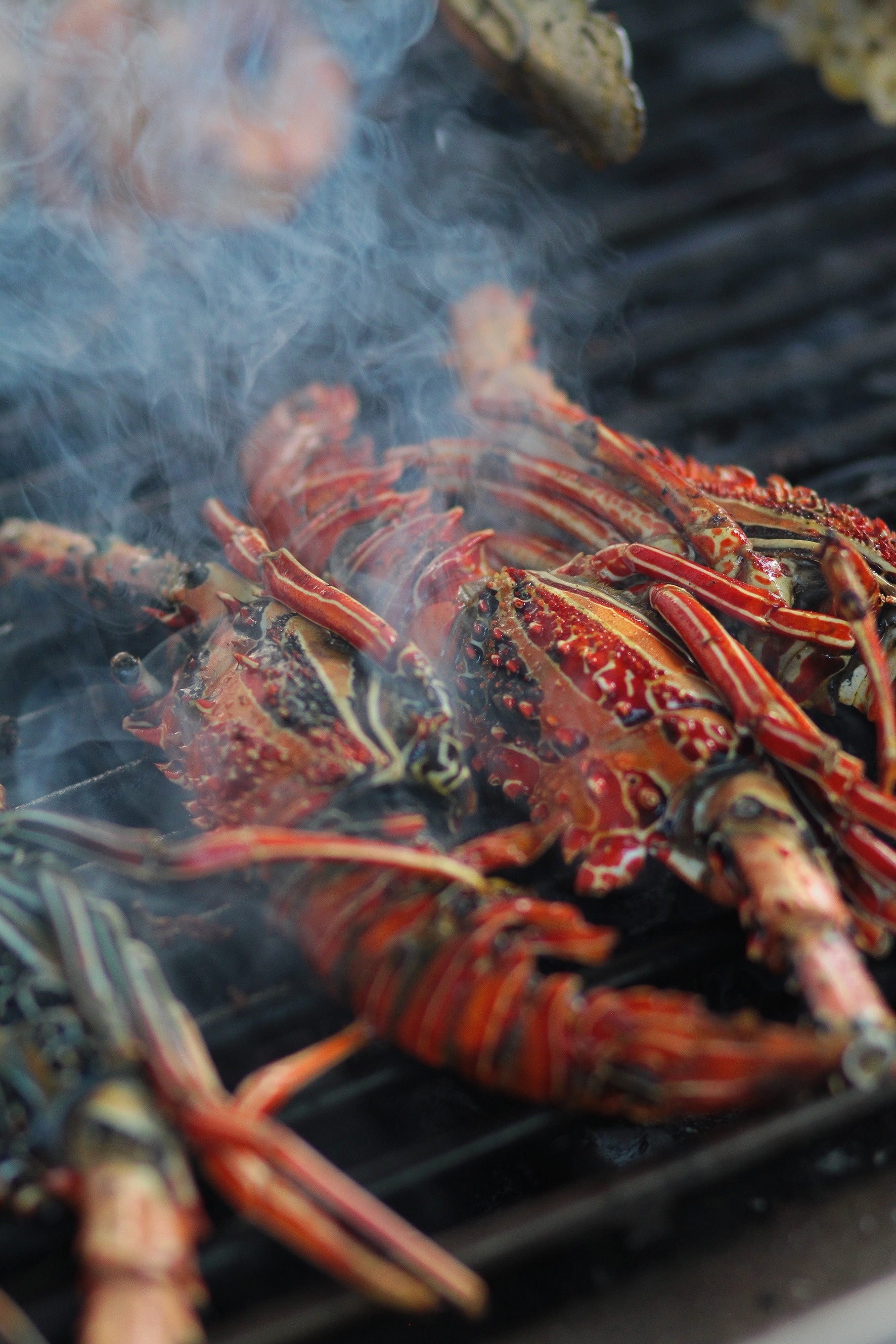 Degustationsmenü Kokoro Restaurant