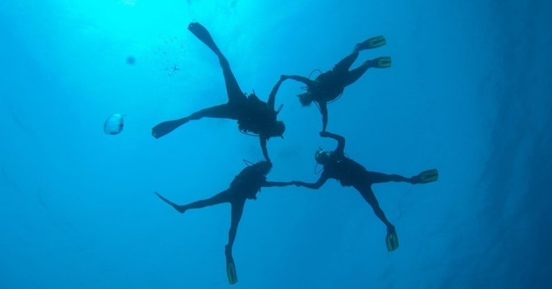 un grup de submarinistes s'envolta en un cercle en el mar