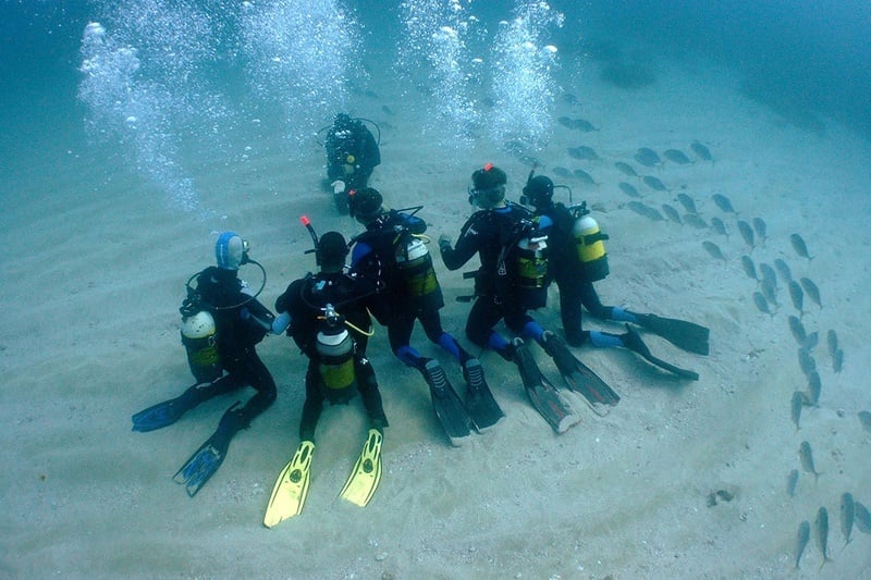 un grupo de buzos se paran en el fondo del océano