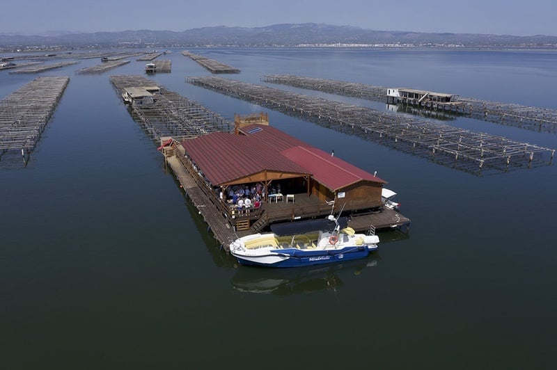 un barco azul y blanco está amarrado frente a una casa flotante