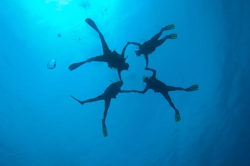 un grupo de buzos nadando en un círculo en el océano