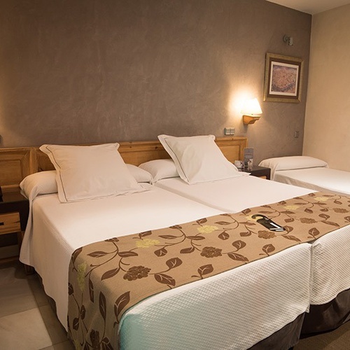 Hotel Pintor el Greco - Habitación Twin Superior Supletoria