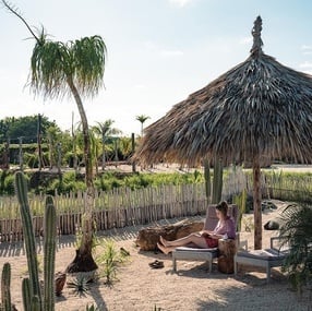 a woman sits under a thatched umbrella reading a book