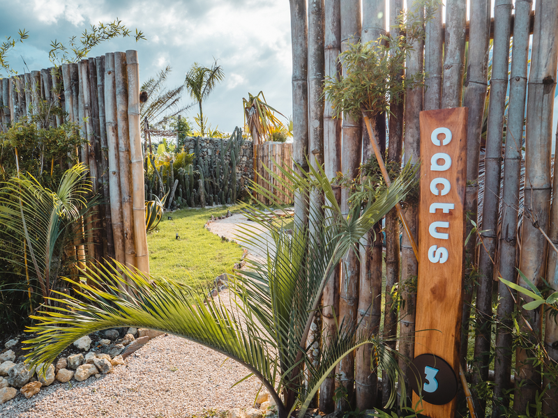 Greenland Bubble Glamping | Web Oficial | Cabarete, República Dominicana