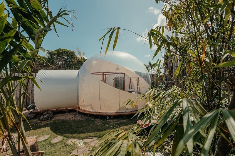 a bubble tent is surrounded by trees and grass