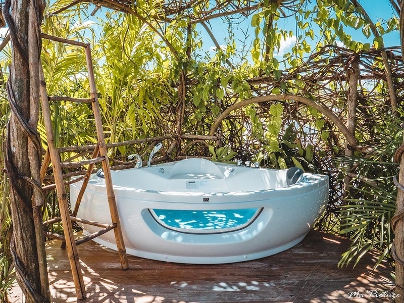 a white bathtub is surrounded by plants and a ladder