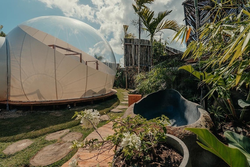 a bubble tent sits in the middle of a lush green garden