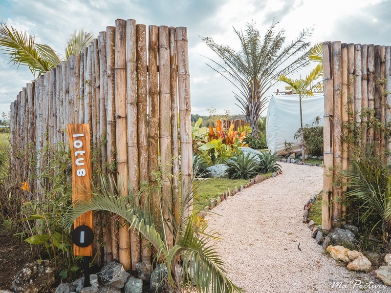Greenland Bubble Glamping | Web Oficial | Cabarete, República Dominicana