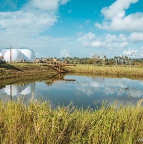 Greenland Bubble Glamping | Web Oficial | Cabarete, República Dominicana