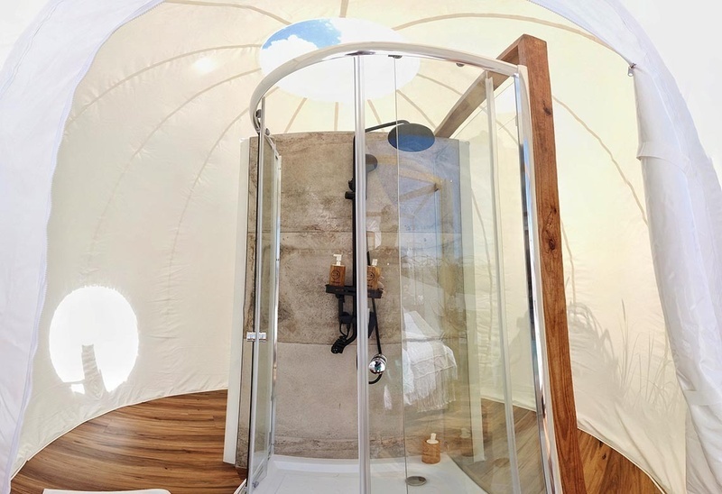 a bathroom with a shower and a soap dispenser