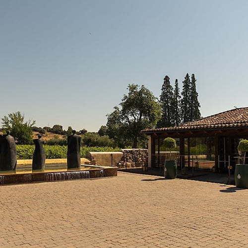 Esculturas en fuente con vistas a viñedos, ideal para eventos en Hacienda Zorita Wine Hotel