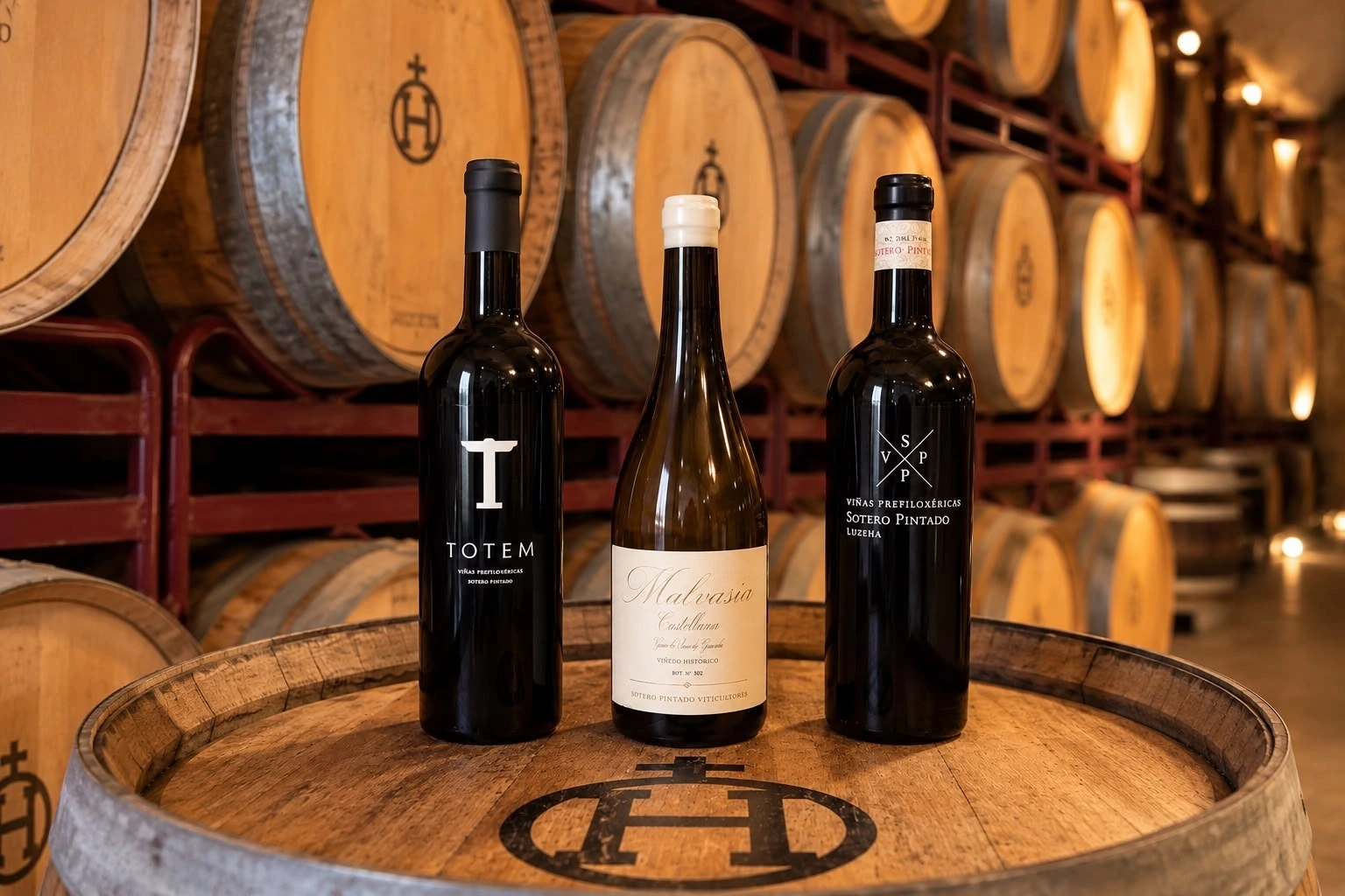 Botellas de vino SOTERO PINTADO en barricas de vino. Dominio de Gallo en Hacienda Zorita | Jornadas Enológicas