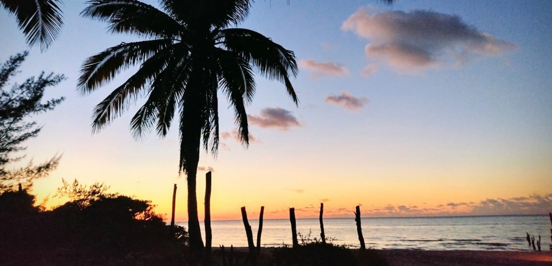 un grupo de edificios de apartamentos junto al océano