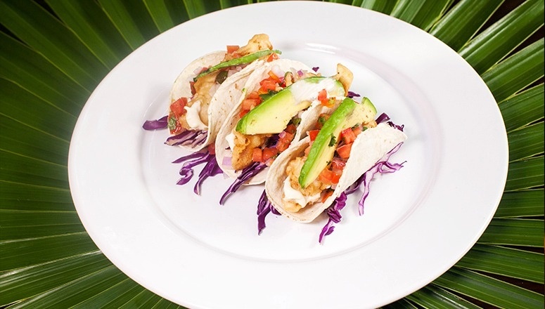 La imagen muestra tres tacos con aguacate, salsa y col morada, servidos en un plato blanco sobre un fondo de hojas de palma.