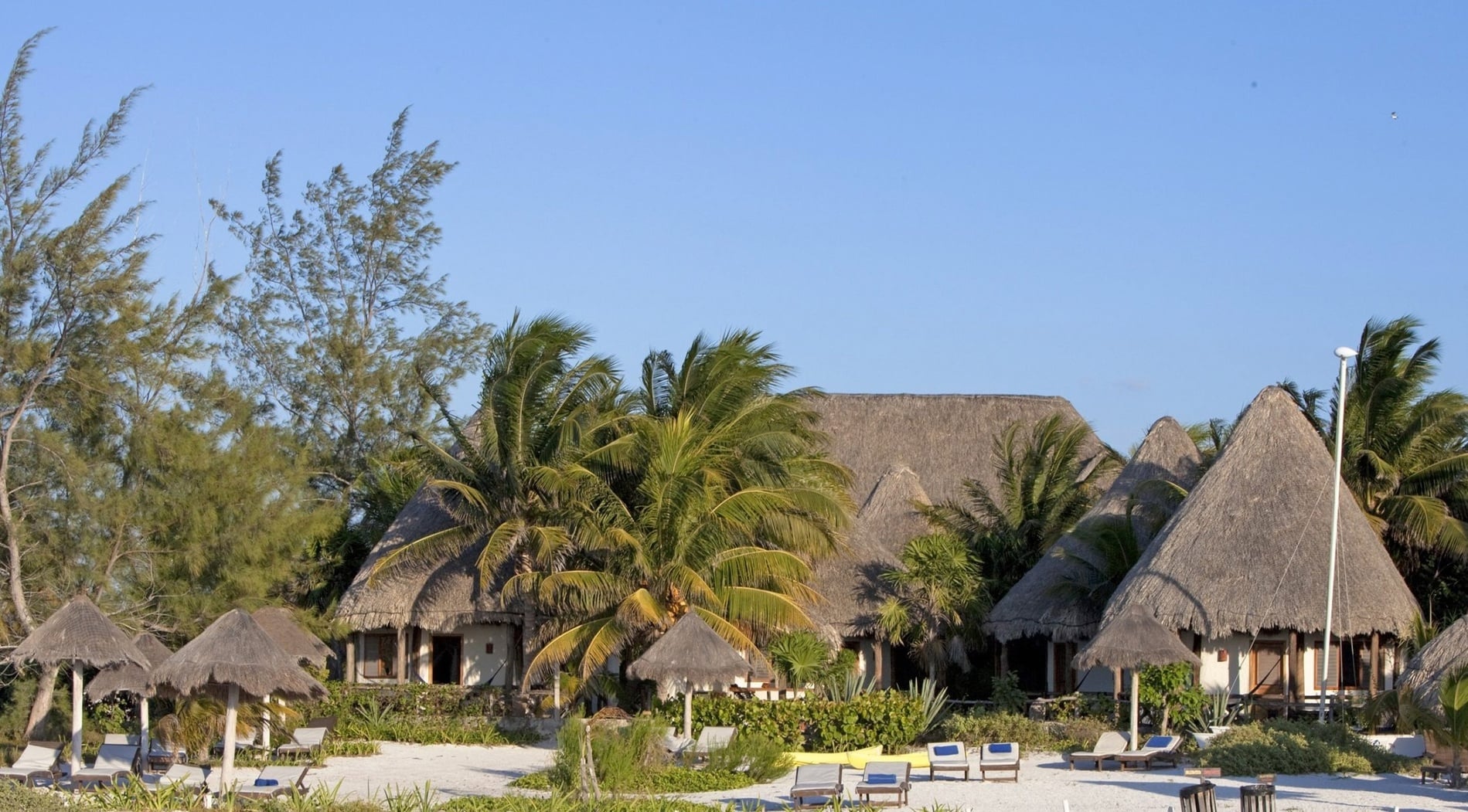 una habitación con una cama y un ventilador de techo