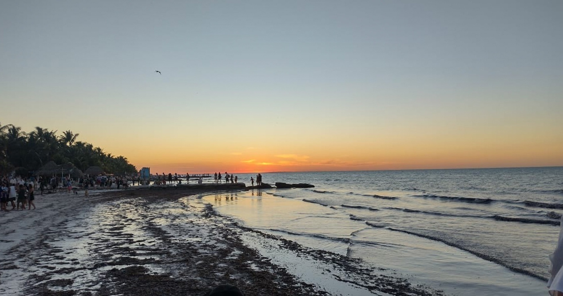 una larga fila de mesas y sillas en un restaurante