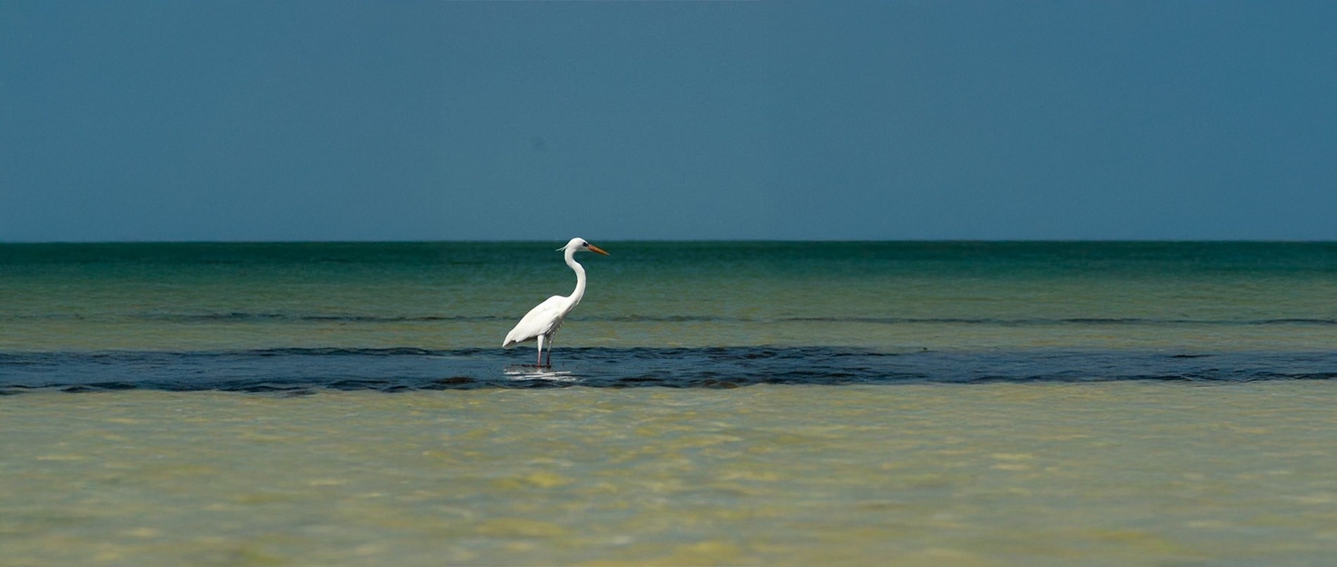 una mujer está usando una computadora portátil y escribiendo en el teclado