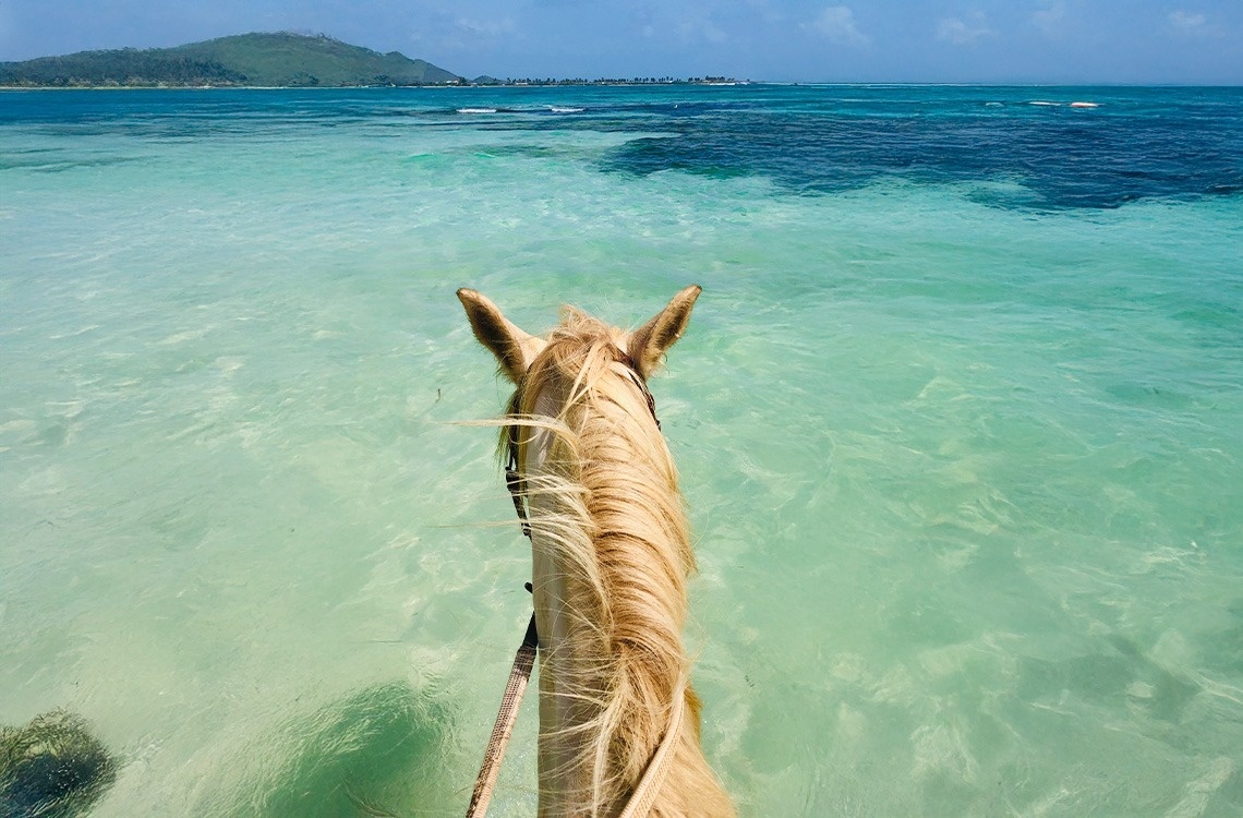 Una vista en primera persona desde un caballo de crin rubia que está en aguas turquesas y cristalinas, con una isla montañosa en el horizonte bajo un cielo azul.