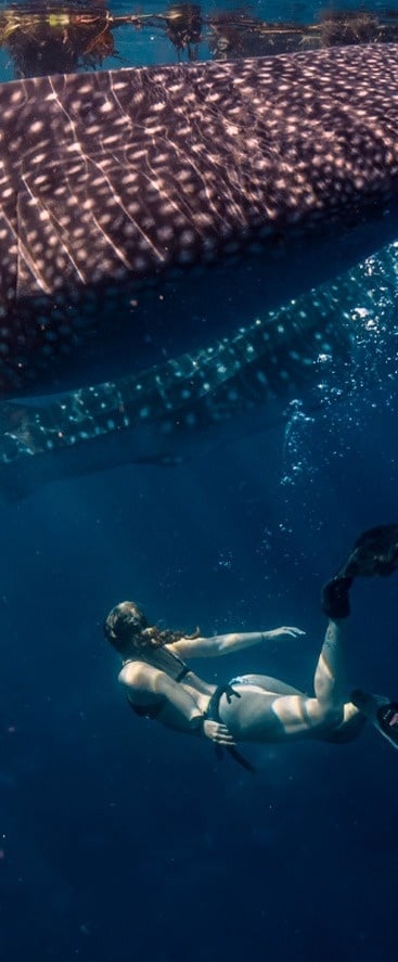 una mujer con un vestido blanco y un sombrero de paja camina por la playa