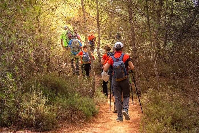 Senderistas en un bosque soleado, actividad al aire libre cerca del hotel.
