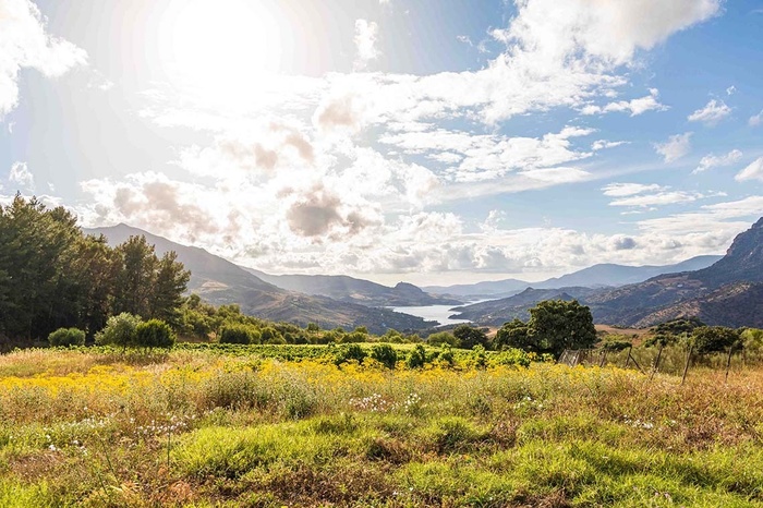 Hotel con vistas: paisaje de montañas, lago y campo de flores.