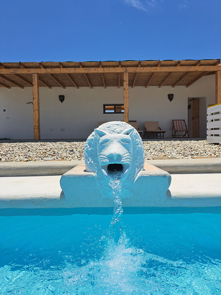 Bela fonte de leão em piscina de hotel, desfrute de seu Horta de Bufenha.