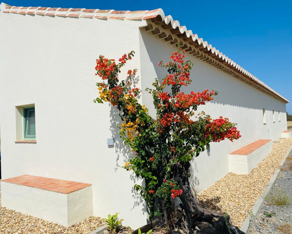 Horta de Bufenha: Fachada branca com bougainvillea colorida e bancos de tijolos.