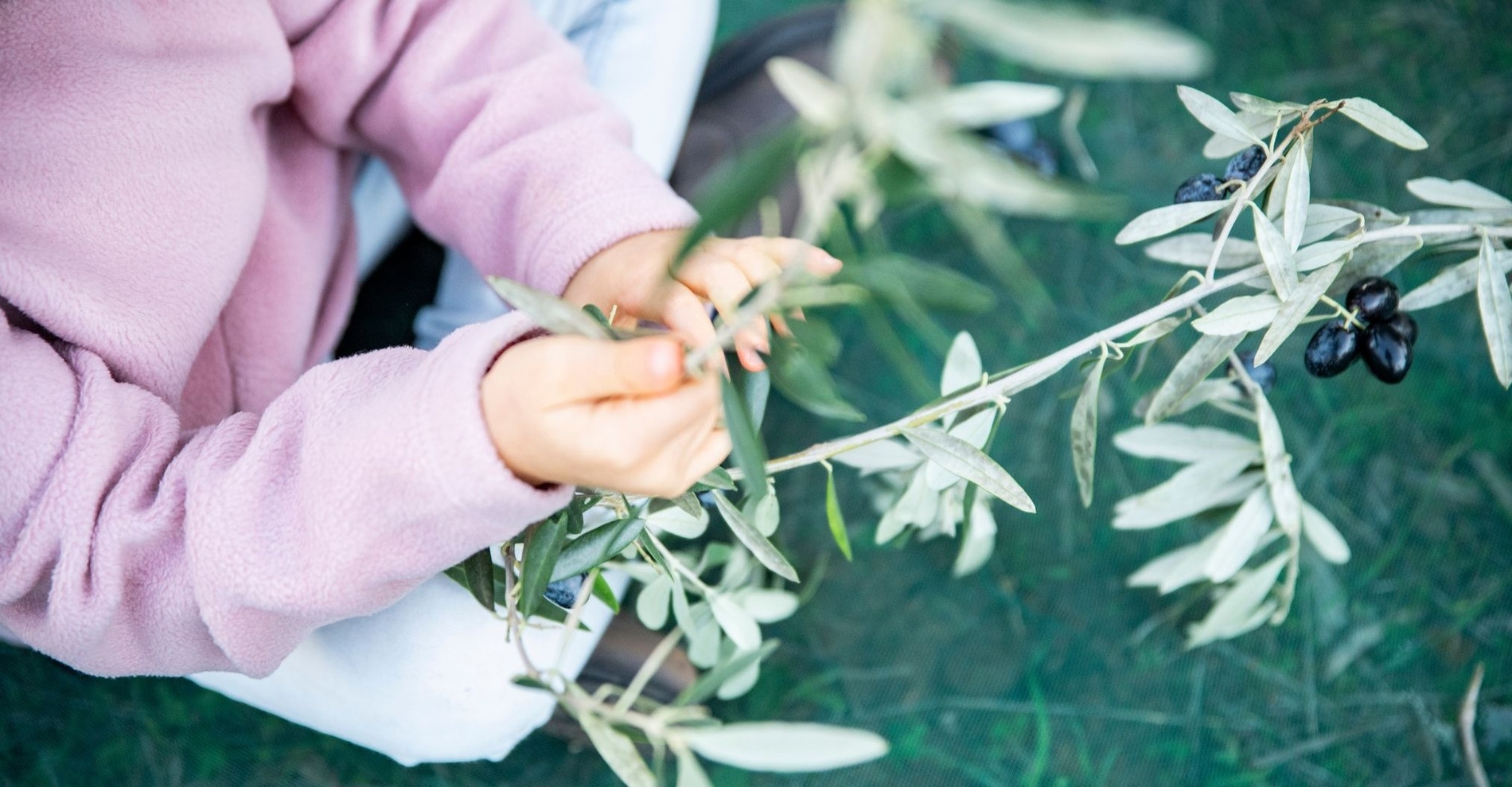 um grupo de pessoas caminha por uma trilha ao lado de um penhasco com vista para o oceano