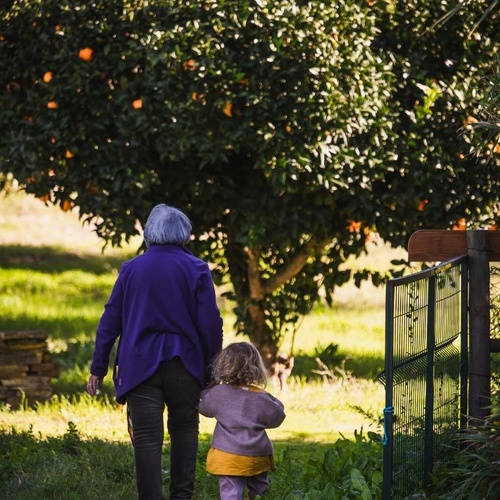 Uma pessoa idosa e uma criança pequena caminham de mãos dadas por um campo gramado, de costas para a câmera, com uma laranjeira carregada ao fundo.