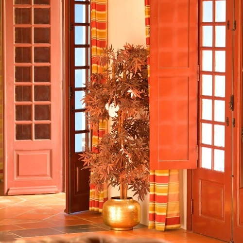 Um interior vibrante apresenta portas e janelas em tons avermelhados, cortinas listradas coloridas, um vaso de planta com folhas outonais no centro e um sofá de couro marrom em primeiro plano.