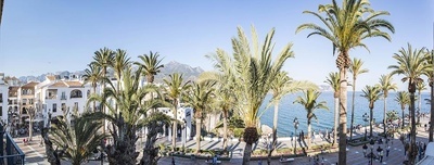 a row of palm trees in front of a body of water