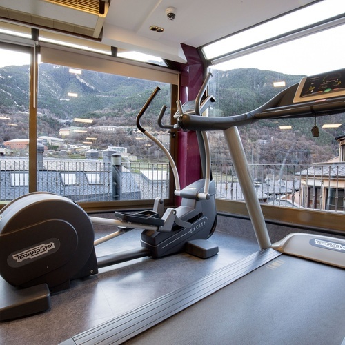 una cinta de correr technogym i un rellotge elliptique