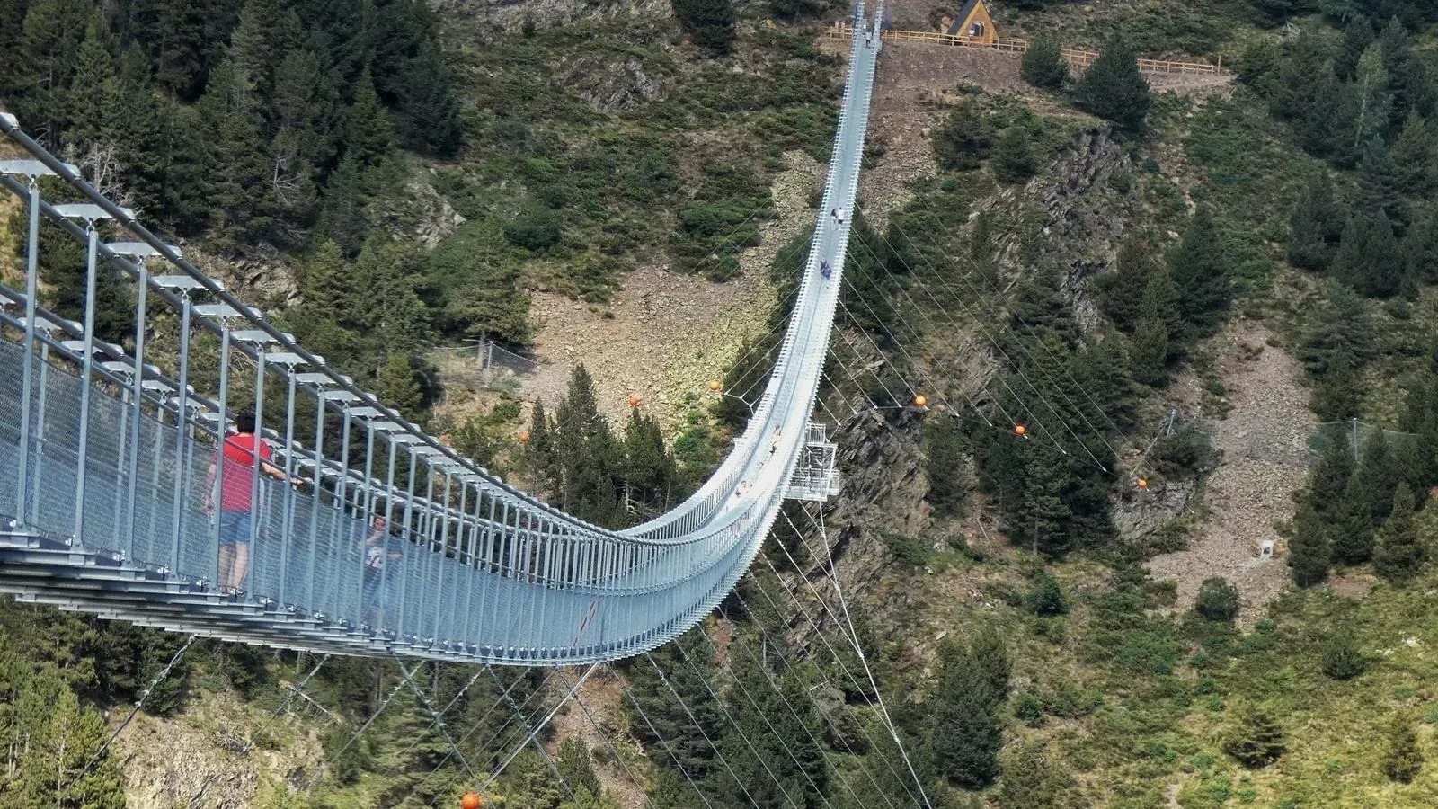 Pont suspendu NEXTA : Corporatif. Vue aérienne d'un pont long et étroit dans un paysage montagneux avec des arbres.