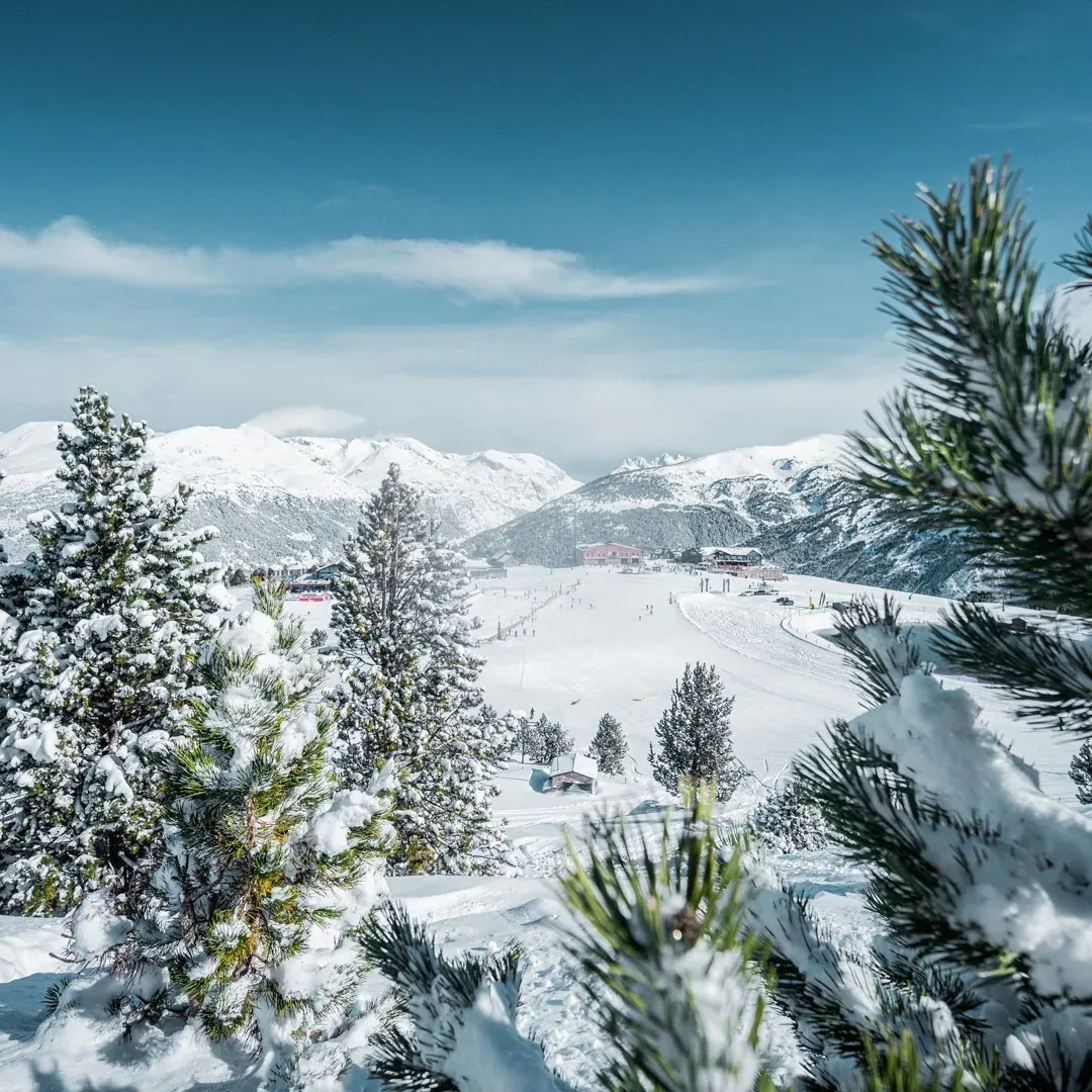 Snowy mountain vista with snow-covered trees. NEXTA: Corporativa.