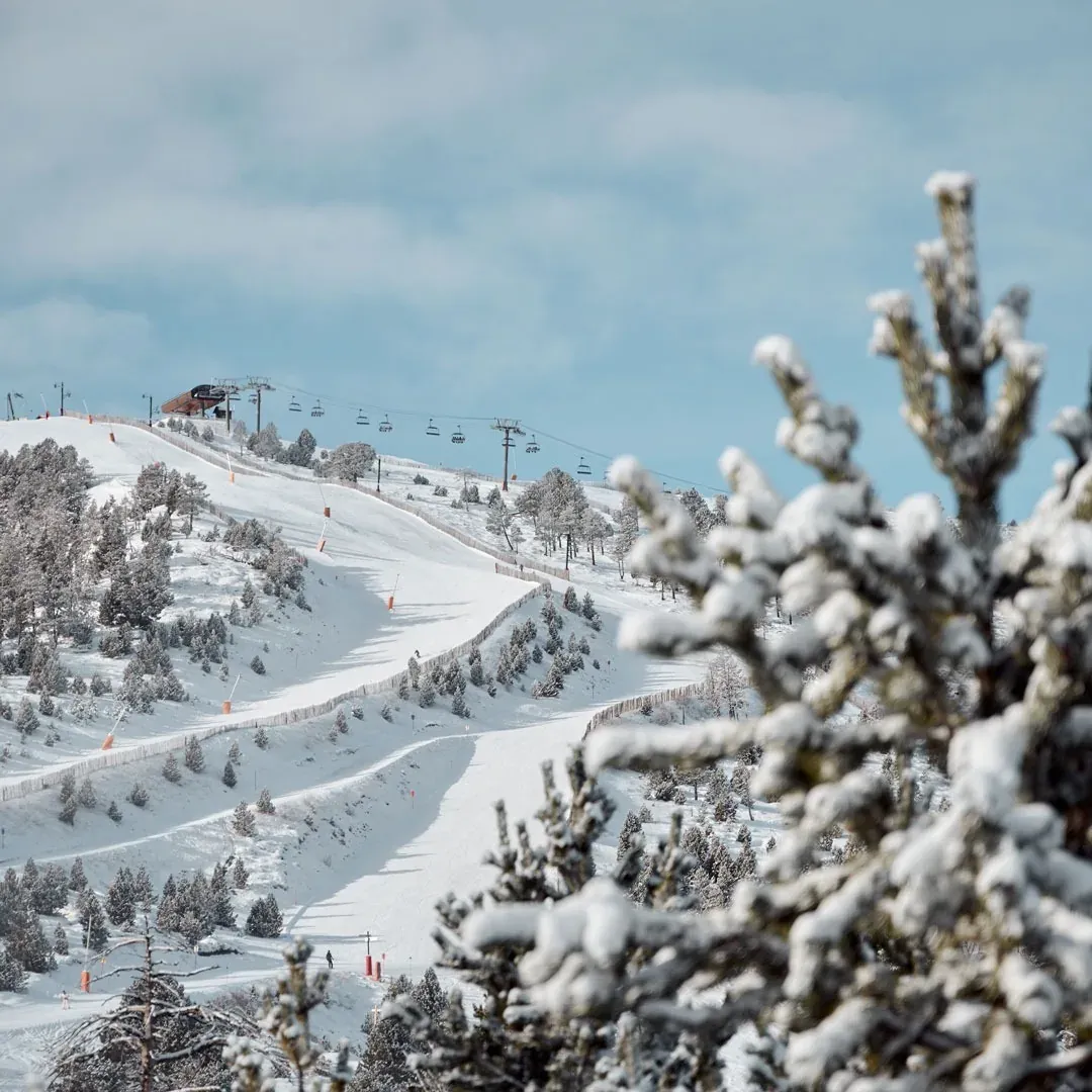 Snowy ski slope with chairlifts and snow-covered pines, near NEXTA: Corporativa.