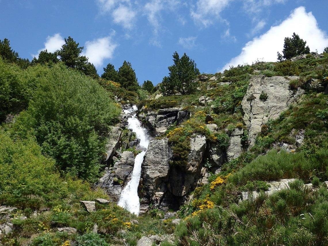 una cascada en la ladera de una montaña rodeada de árboles y flores