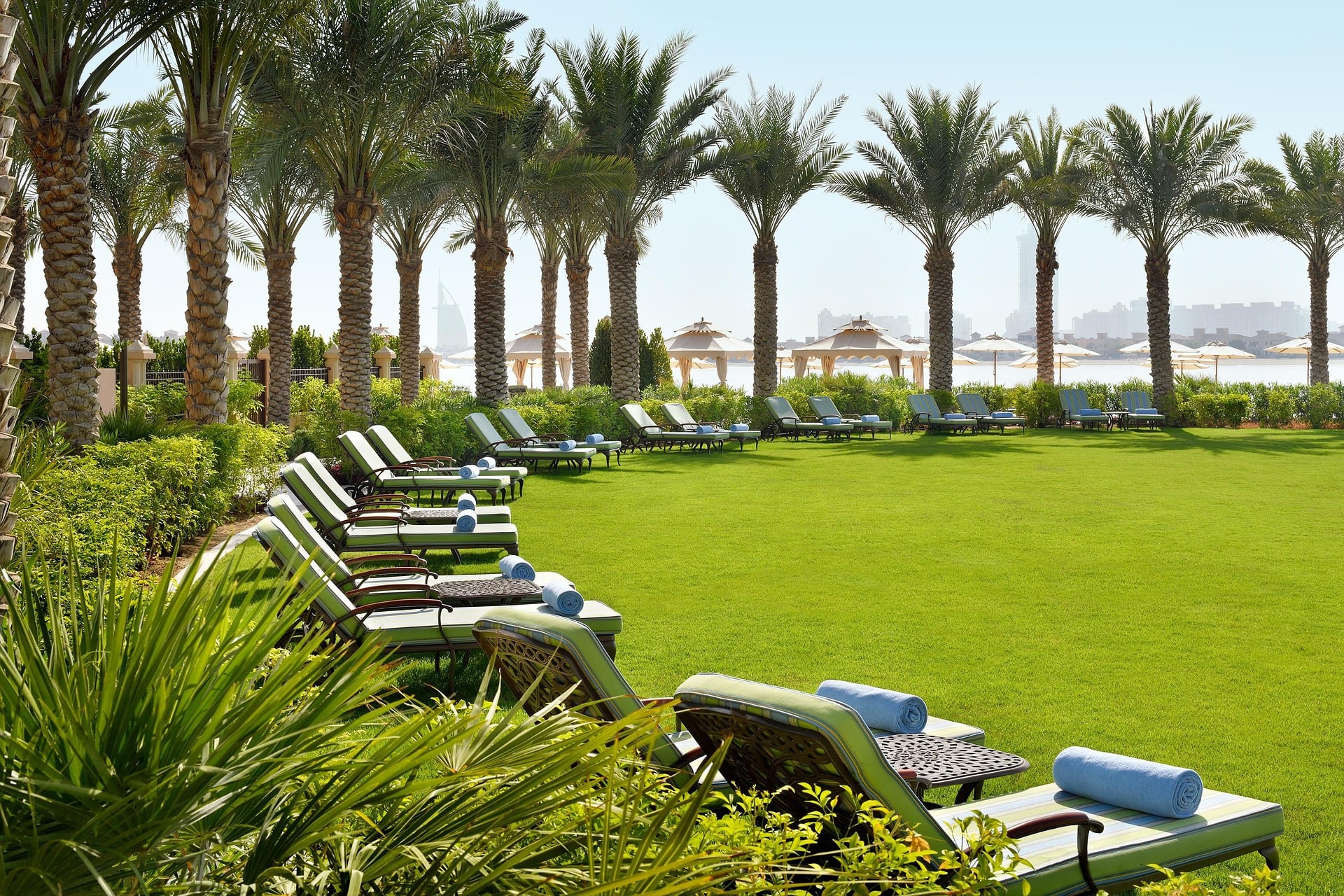 Resort loungers on lush lawn, palm trees, and city skyline. NEXTA: Corporativa